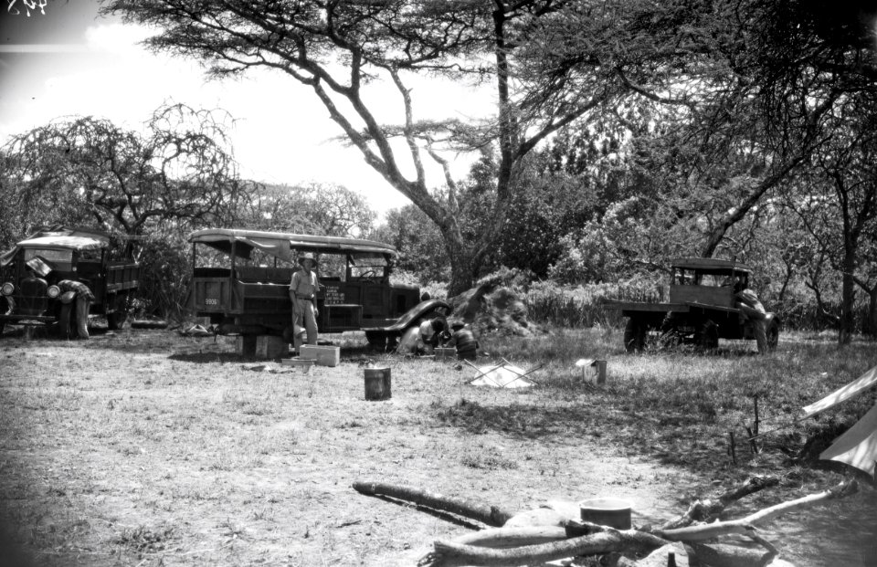 ETH-BIB-Jeeps im Camp Serengeti-Kilimanjaroflug 1929-30-LBS MH02-07-0498