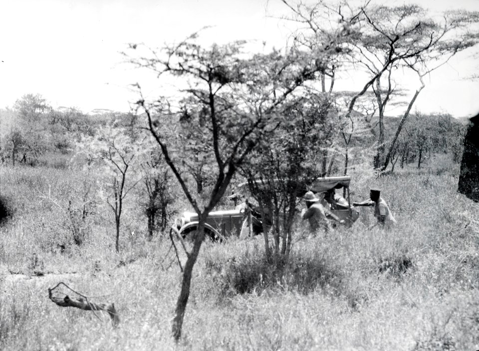 ETH-BIB-Jeep in der Serengeti-Kilimanjaroflug 1929-30-LBS MH02-07-0293