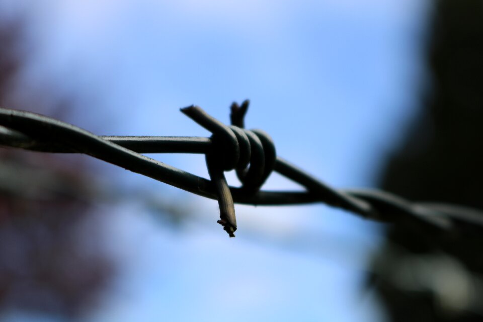 Barbed wire fence barrier demarcation