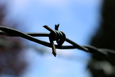 Barbed wire fence barrier demarcation photo