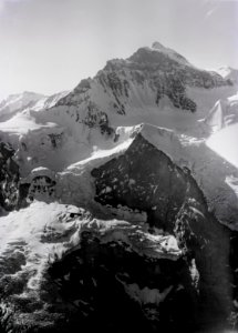 ETH-BIB-Jungfrau, Schneehorn, Silberhorn v. N. aus 3500 m-Inlandflüge-LBS MH01-005158