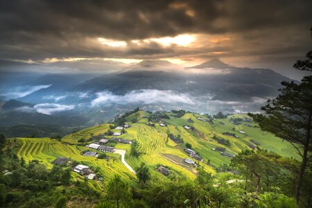 Ha giang terraces hoang su phi photo