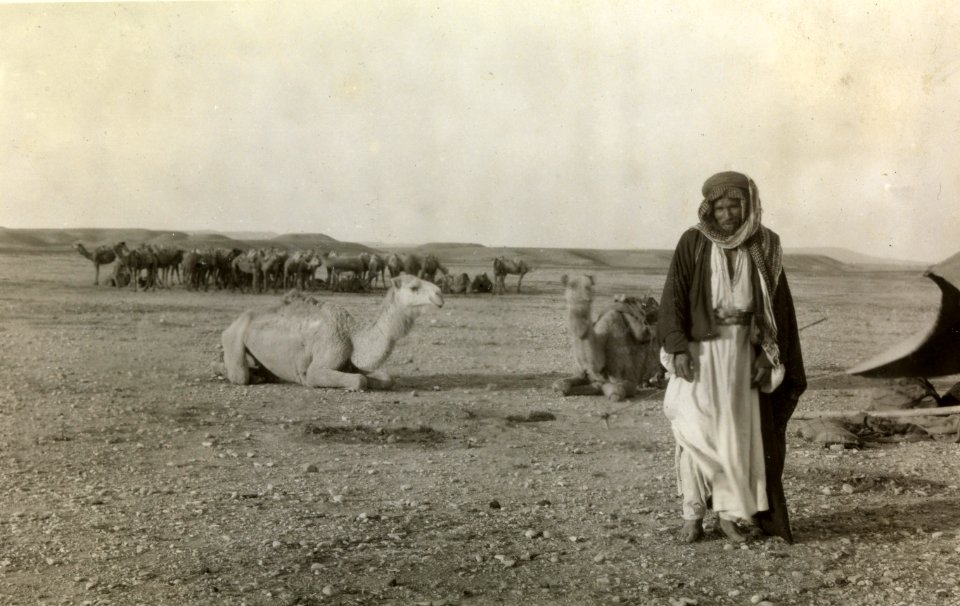 ETH-BIB-Kamelkarawane bei Chanikin -Chanaqin--Persienflug 1924-1925-LBS MH02-02-0045-AL-FL