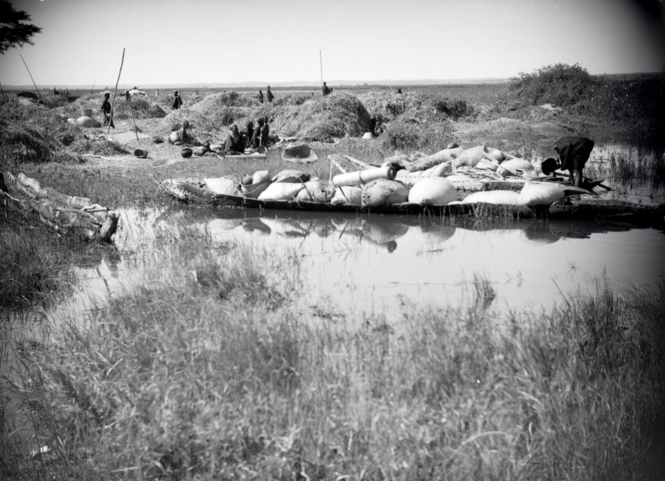 ETH-BIB-Kanus auf dem Niger, ein Dorf im Hintergrund-Tschadseeflug 1930-31-LBS MH02-08-0525