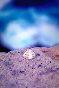 Blue sand stone