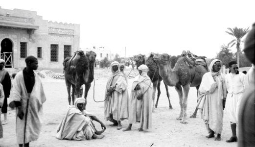 ETH-BIB-Kamelführer in Biskra-Mittelmeerflug 1928-LBS MH02-04-0174
