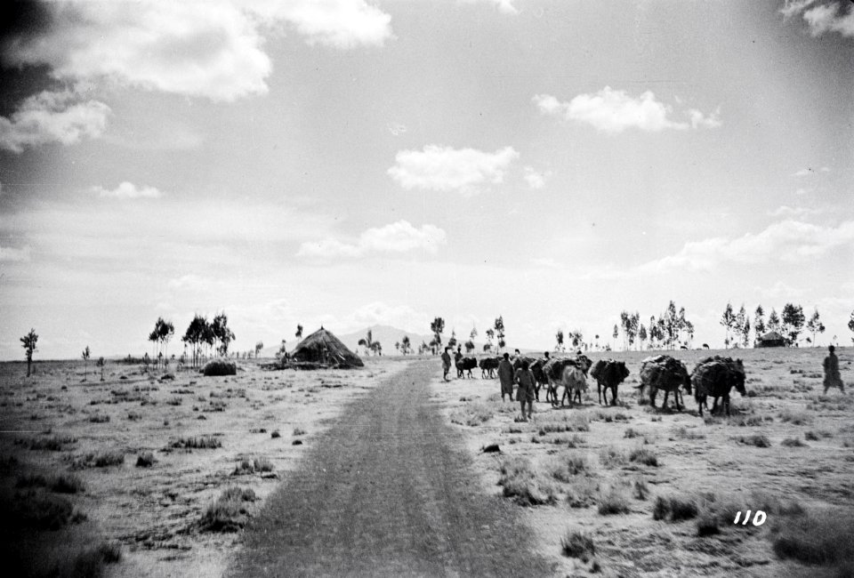 ETH-BIB-Karawanenweg im Hochland Abessiniens-Abessinienflug 1934-LBS MH02-22-0232