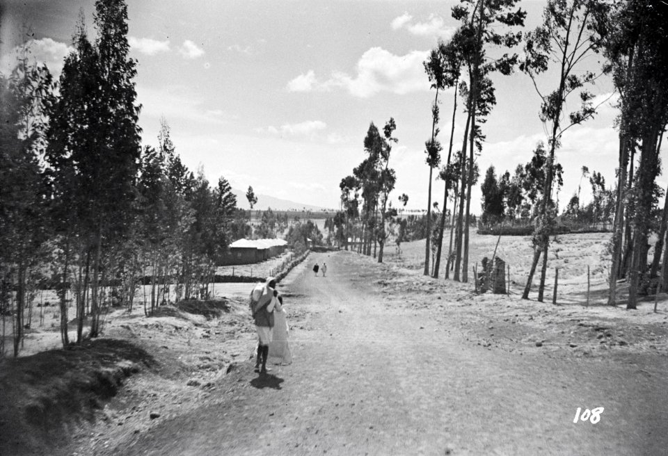 ETH-BIB-Karawanenweg im Hochland Abessiniens-Abessinienflug 1934-LBS MH02-22-0231