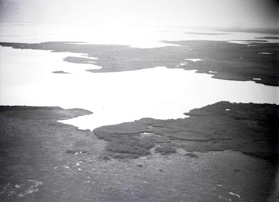 ETH-BIB-Kilometerbreit sind die Ufer des Tschadsees mit schwimmenden Papyrus- und Ambatschgräsern umlagert-Tschadseeflug 1930-31-LBS MH02-08-0796