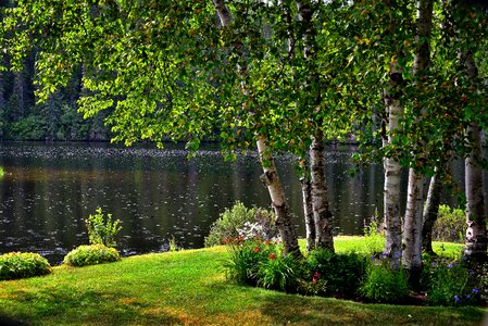 Lake water rain photo