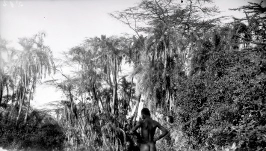 ETH-BIB-Knabe in der Serengeti-Kilimanjaroflug 1929-30-LBS MH02-07-0512