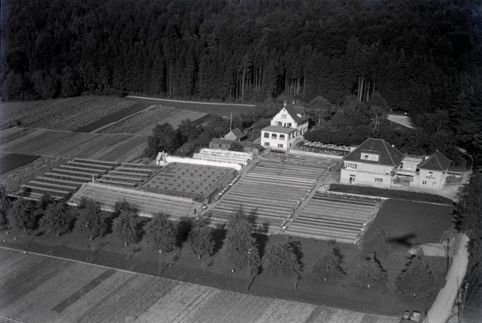 ETH-BIB-Küsnacht (ZH), Restaurant Rumensee und Gärtnerei-Inlandflüge-LBS MH03-1088