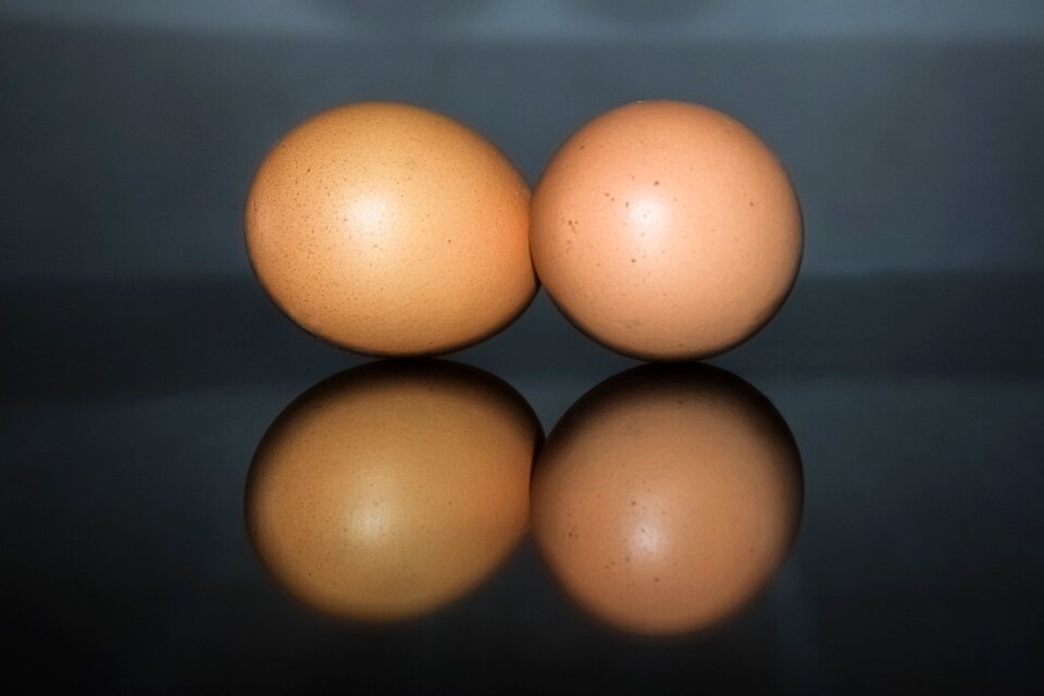Reflection blue food blue egg