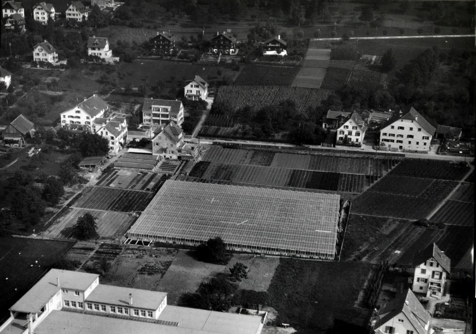 ETH-BIB-Küsnacht (ZH), Kaul & Co, Gärtnerei und Landwirtschaftsbetrieb-Inlandflüge-LBS MH03-0486