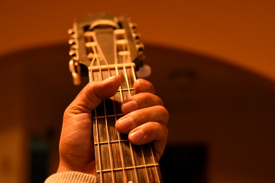 Wood music musician