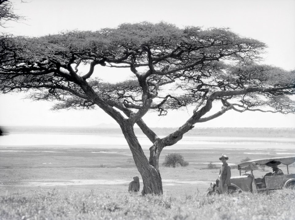 ETH-BIB-Larjasee mit Oldeani am Südrand der Serengeti-Kilimanjaroflug 1929-30-LBS MH02-07-0043