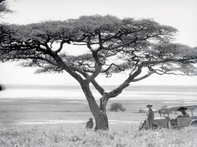 ETH-BIB-Larjasee mit Oldeani am Südrand der Serengeti-Kilimanjaroflug 1929-30-LBS MH02-07-0043