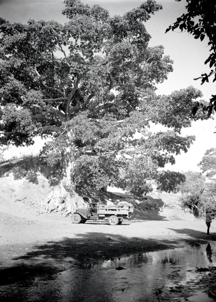 ETH-BIB-Lastwagen unter Baum an Fluss-Abessinienflug 1934-LBS MH02-22-0508