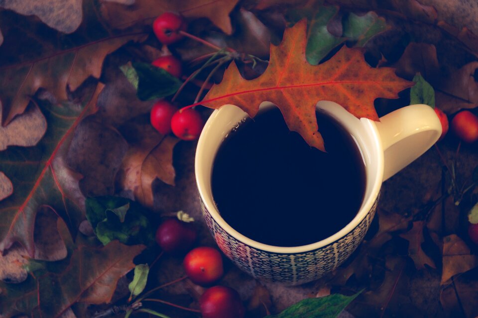 Drink drinking herfstblaadjes