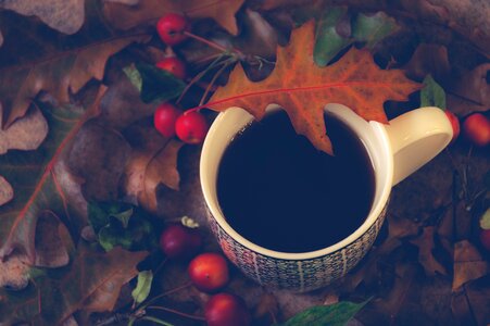 Drink drinking herfstblaadjes