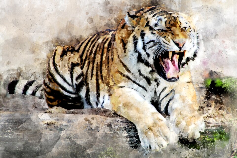 Tooth roar dangerous