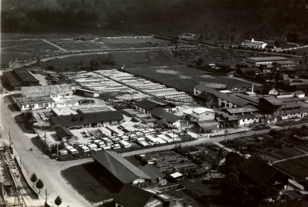 ETH-BIB-Luzern-Tribschenmoos, Betonfabrik Seekag-Inlandflüge-LBS MH03-1483
