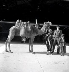 ETH-BIB-Mann mit Kamel und Kindern vor Flugzeug, Ma'an, Transjordanien-Abessinienflug 1934-LBS MH02-22-0013