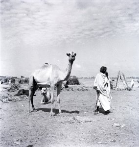 ETH-BIB-Mann des Volksstamms der Fasi-Wadi in Kassala-Abessinienflug 1934-LBS MH02-22-0168