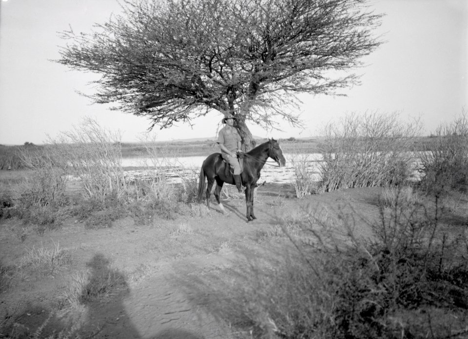 ETH-BIB-Mann zu Pferd am Niger-Tschadseeflug 1930-31-LBS MH02-08-0529