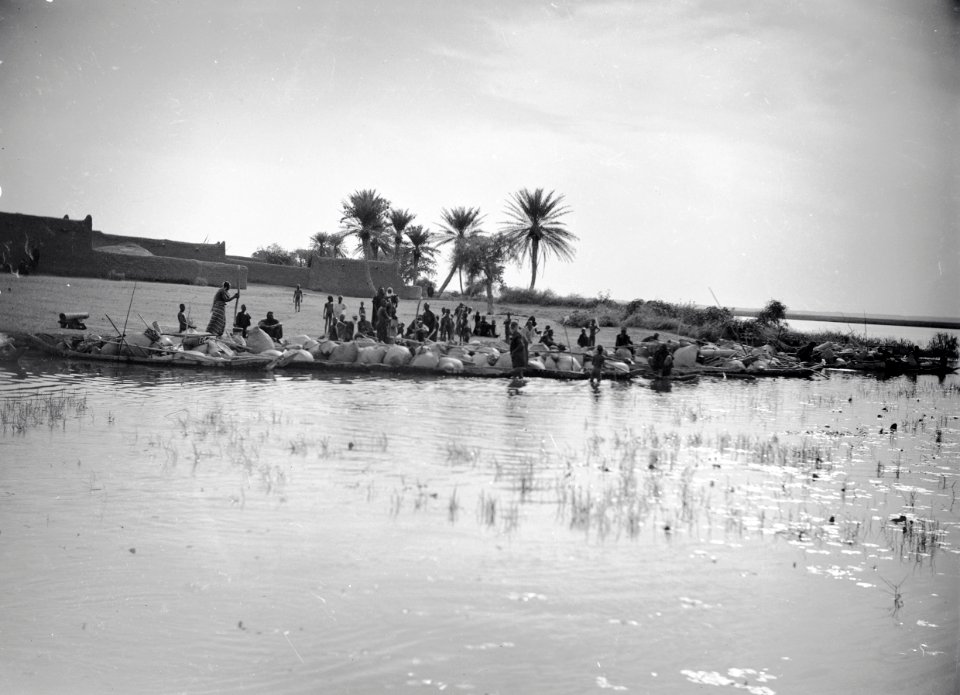 ETH-BIB-Markt am Niger (Reisernte)-Tschadseeflug 1930-31-LBS MH02-08-0495