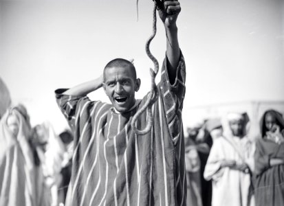 ETH-BIB-Marrakech- Schlangenbeschwörer unterhält das Volk-Tschadseeflug 1930-31-LBS MH02-08-0314