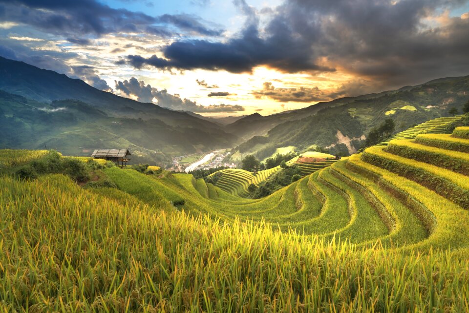 Ha giang terraces hoang su phi