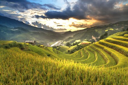 Ha giang terraces hoang su phi