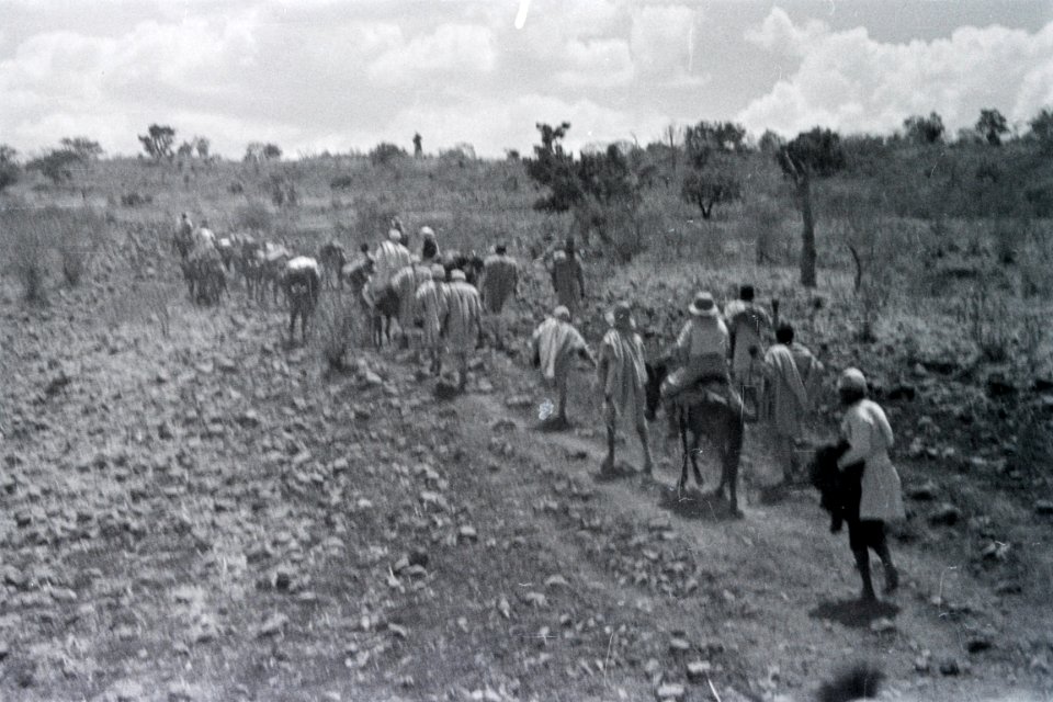 ETH-BIB-Maultier-Karawane durch die abessinische Landschaft-Abessinienflug 1934-LBS MH02-22-1103