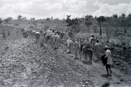 ETH-BIB-Maultier-Karawane durch die abessinische Landschaft-Abessinienflug 1934-LBS MH02-22-1103