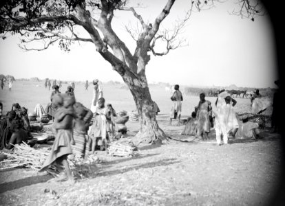 ETH-BIB-Menschen unter einem Baum bei Kano-Tschadseeflug 1930-31-LBS MH02-08-0623