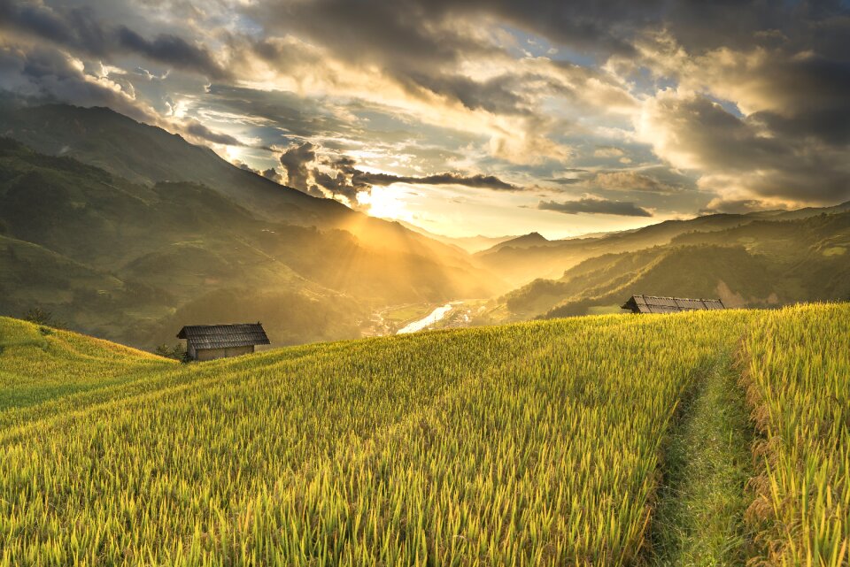 Kathy terraces hoang suphi