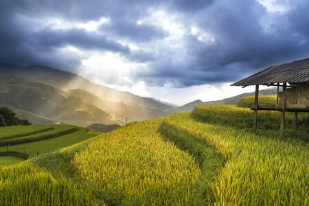 Ha giang terraces hoang su phi