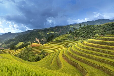 Ha giang terraces hoang su phi