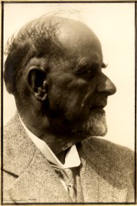 ETH-BIB-Moser, Karl (1860-1936)-Portrait-Portr 00350 photo