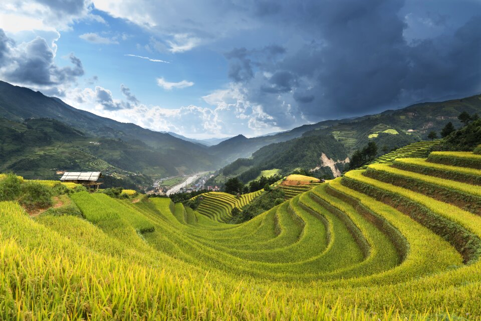 Kathy terraces hoang suphi