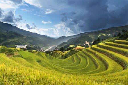 Kathy terraces hoang suphi photo