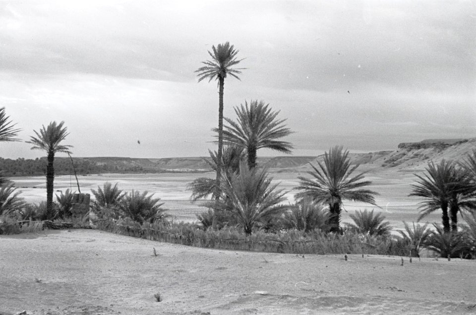 ETH-BIB-Oase Beni-Abbès-Nordafrikaflug 1932-LBS MH02-13-0186