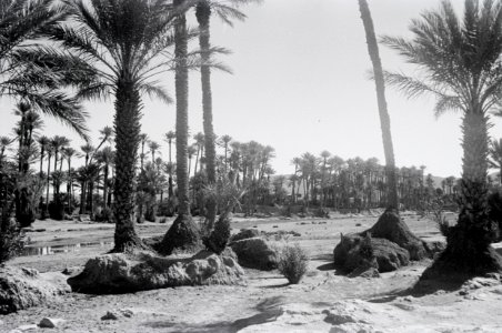 ETH-BIB-Oase Colomb-Bechar-Nordafrikaflug 1932-LBS MH02-13-0263