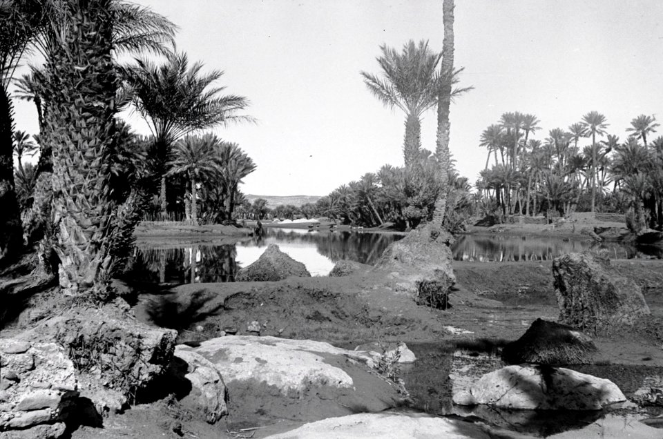 ETH-BIB-Oase Colomb-Bechar-Nordafrikaflug 1932-LBS MH02-13-0267