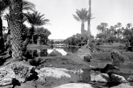 ETH-BIB-Oase Colomb-Bechar-Nordafrikaflug 1932-LBS MH02-13-0267