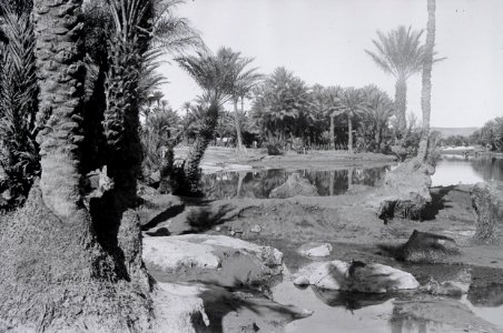 ETH-BIB-Oase Colomb-Bechar-Nordafrikaflug 1932-LBS MH02-13-0271