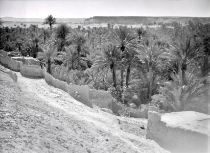 ETH-BIB-Oase in der Sahara-Tschadseeflug 1930-31-LBS MH02-08-0343