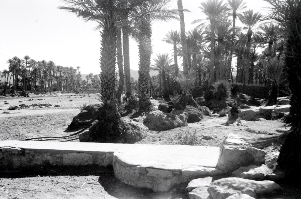 ETH-BIB-Oase Colomb-Bechar-Nordafrikaflug 1932-LBS MH02-13-0265