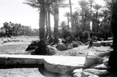 ETH-BIB-Oase Colomb-Bechar-Nordafrikaflug 1932-LBS MH02-13-0265
